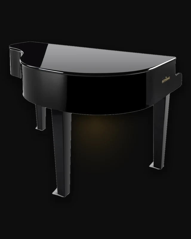 Location Coque de piano Dutchgrand noir — Technics
